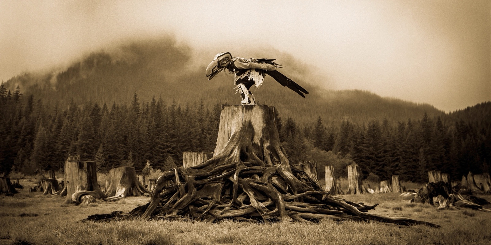 A masked Raven dancer atop a weathered stump before misty foothills