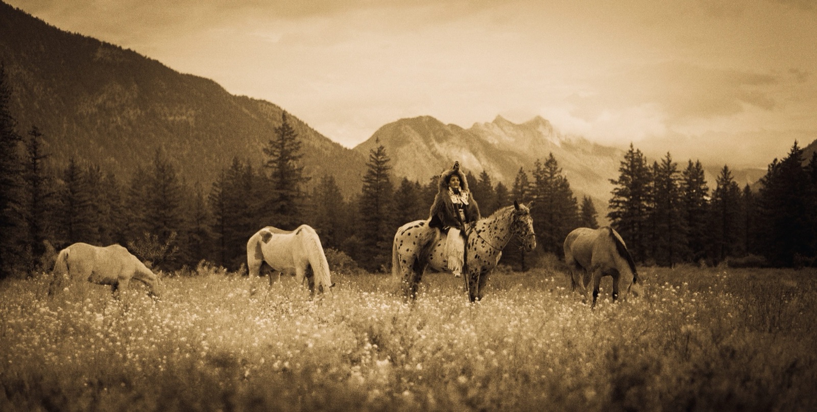 Riders and horses in a mountain valley